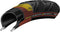 Continental Buitenband Grand Prix 4 Seasons 28 X 1.25 (32-622) Zwart