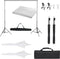 vidaXL - Fotostudioset - met - verlichtingsset - en - achtergrond