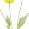 Cosmea kunststof 61x10x10 cm gl