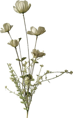 Cosmos 67cm saliegroen