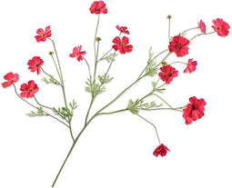 Cosmos tak beauty rt 104 cm Silk-Ka
