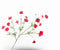 Cosmos tak beauty rt 104 cm Silk-Ka