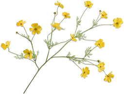 Cosmos tak geel rt 104 cm Silk-Ka