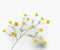 Cosmos tak geel rt 104 cm Silk-Ka