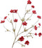 Cosmostak l104 cm rood