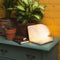 Cotton Ball Lights boek lamp bruin - Walnoot bruin book lamp Large