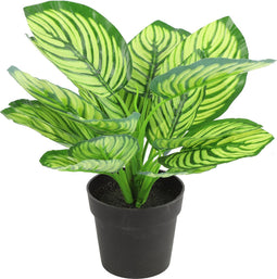 Countryfield Kunstplant Calathea plant in bloempot - Groen - 15 x 28 cm