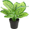 Countryfield Kunstplant Calathea plant in bloempot - Groen - 15 x 28 cm