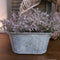 Countryfield – Plantenbak van zink – Plantenmand – L.24 B.14 H.15cm