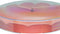 nXt - Wandklok - 20 cm - Plastic - Rood - 'Sweet'
