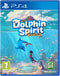 Microids Dolphin Spirit: Ocean Mission - PS4 - Avontuur en educatie (2023)