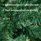 Nordlandia Kunstkerstboom - 180 cm - 525 takken - Realistische uitstraling - Groen