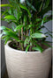 Capi Europe - Vaas Waste Rib NL - Breukbestendig - Terrazzo beige - Ø27 cm - 34x46 cm