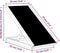 vidaXL Hondenloopplank - 70x35 cm - massief vurenhout - anti-slip - grijs