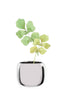 Bloempot zilver keramiek voor kamerplant L21 x B21 x H17 cm - Mica Decorations plantenpotten