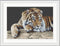 Thea Gouverneur - Borduurpakket met telpatroon - 579.05 - Voorgesorteerde DMC Garens - Tijger - Zwarte Aida - 45 cm x 35 cm - DIY Kit