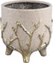PTMD Quin Cream Ceramic Pot Gold Branches Base Low L