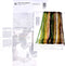 Thea Gouverneur - Borduurpakket met telpatroon - 1083A - Voorgesorteerde DMC Garens - Herfst - Aida - 53 cm x 56 cm - DIY Kit