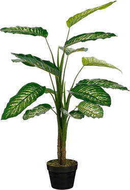 Mica Decorations Kunstplant Dieffenbachia - 70x70x100 cm - Polyester - Groen