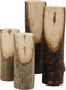 Creativ Company Decoratieve boomtakken schuin afgesneden, H: 8+12 cm, dia. 2,5-3,5 cm, 4 stuk/ 1 pak
