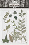 Creativ Company Gedroogde Bladeren, Groen, 1 Doos