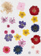 Creativ Company Gedroogde Bloemen, Diverse Kleuren, 1 Doos