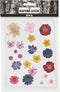 Creativ Company Gedroogde Bloemen, Diverse Kleuren, 1 Doos