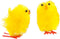 Creative Paaskuikens Geel 3 Cm 12 Stuks