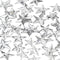 Creative Strasstenen Sterren 11x12x16mm Zilver 360 Stuks
