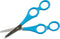 Creotime 4-gaten Schaar 17 Cm Blauw