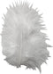 Creotime Kalkoenveren 5-12 Cm Wit 15 Stuks