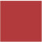 Creotime karton 21 x 29,7 cm 10 stuks 220 g rood