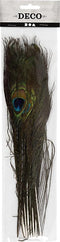 Creotime Pauwenveren, l: 25-30 cm, 10 stuks
