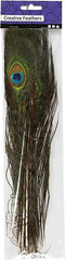 Creotime Pauwenveren, l: 25-30 cm, 10 stuks