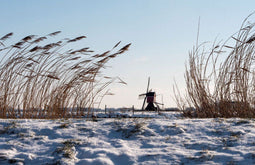 Customize it - Tuinschilderij molen sneeuw 70x50cm