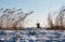 Customize it - Tuinschilderij molen sneeuw 70x50cm