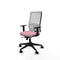 Piqueras y Crespo 1D066N0 - Bureaustoel - Verstelbare hoogte met armleuning - Roze