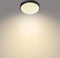 Philips Doris - Plafondlamp - LED - Vochtbestendig - Zwart - Groot - 17 W
