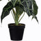 Mica Decorations Alocasia Kunstplant in Bloempot - H50 x Ø30 cm - Groen