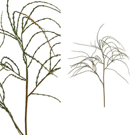 PTMD Succulent Willaagtak Kunstplant - 63 x 22 x 118 cm - Groen