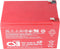 CSB-EVH12150X3 12 volt AGM loodzuuraccu 15 Ah, 151x98x101,8 mm Faston 6,3 mm cyclus stabiel + stand-by