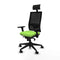 Bureaustoel met hoofdsteun Piqueras y Crespo 3D066N1 Pistache