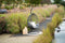 Garden Impressions - Schommelstoel Wellington
