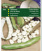Tuinplus Tuinbonen Leidse Hangers - 100 gram - 5 Tuinbonen - Zaad