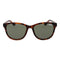 Zonnebril Dames Superdry SDS-LIZZIE 55122