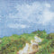 Thea Gouverneur - Borduurpakket met telpatroon - 1052A - Voorgesorteerde DMC Garens - Duinen - Aida - 20 cm x 33 cm - DIY Kit