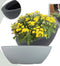 Cti Ovale Plantenbak Jardiniere LUGANO Betonlook grijs 60cm