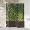 vidaXL - Tuinbak - met - Trellis - 3 - st - Bruin - 80x80x143 - cm