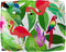 vidaXL - Ligbedkussen - voor - Rugleuning - Tropisch - Jungle - 50x40x12 - cm - Oxford - Stof