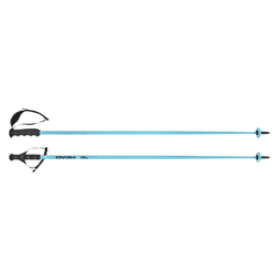 HEAD Worldcup SL - Ski Poles - Lichtgewicht aluminium - Speed Blue - Maat 125